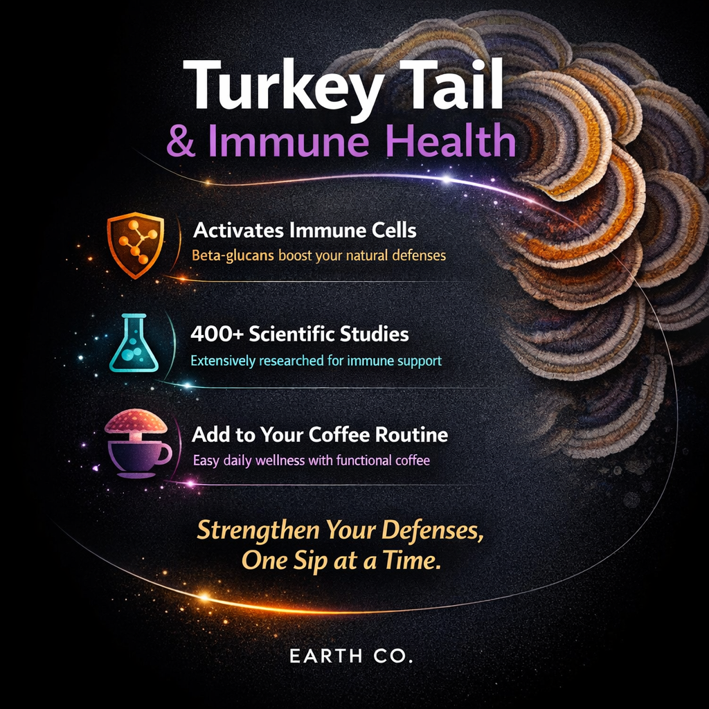 Turkey tail: the most studied immunological mushroom in oncology and why it matters for daily wellness