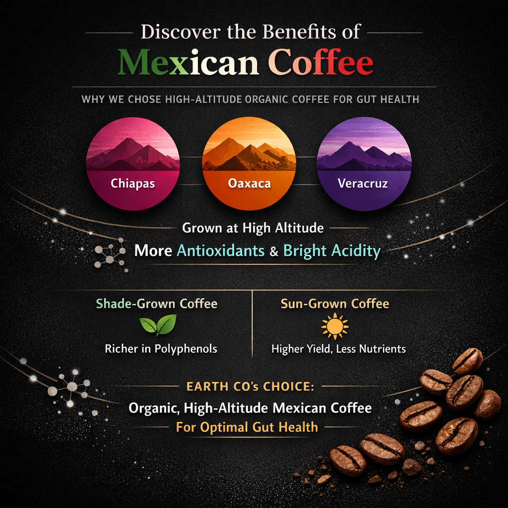 coffee protein breakfast body composition guide