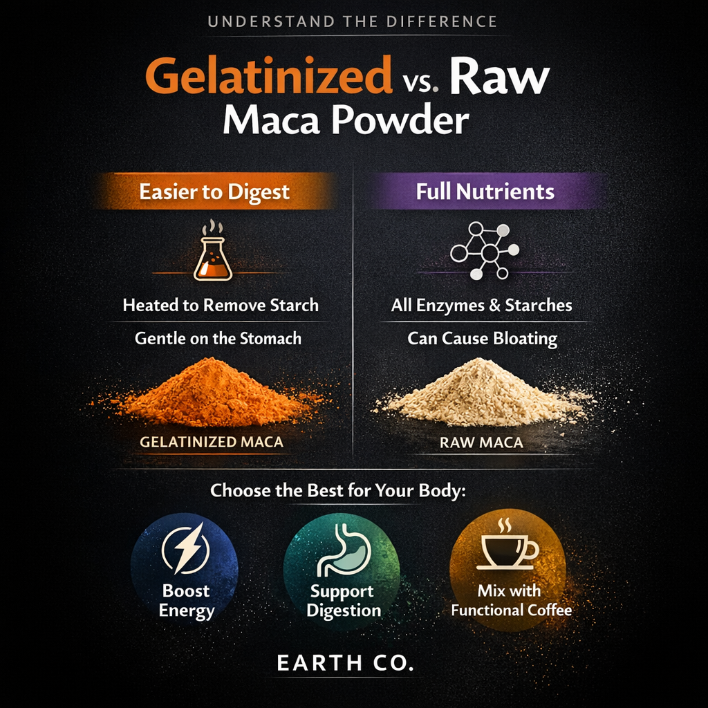 gelatinized maca vs raw maca powder guide