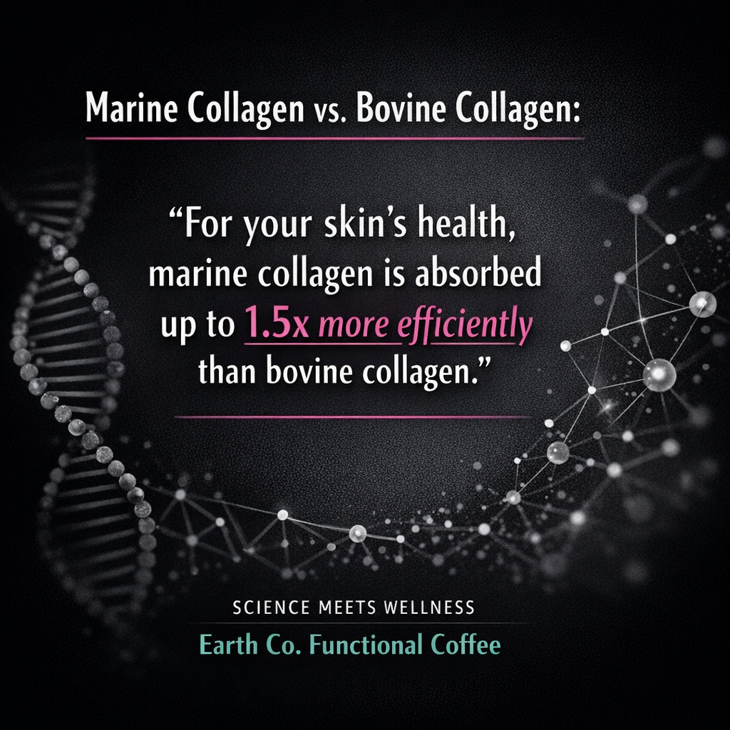 Marine collagen vs bovine collagen: which is better for your skin and why Earth Co chose one