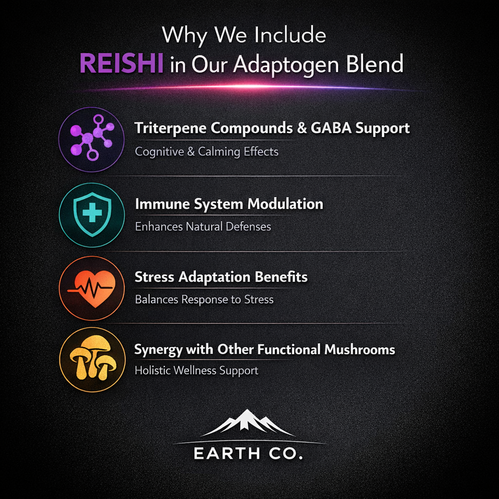 reishi in coffee benefits guide